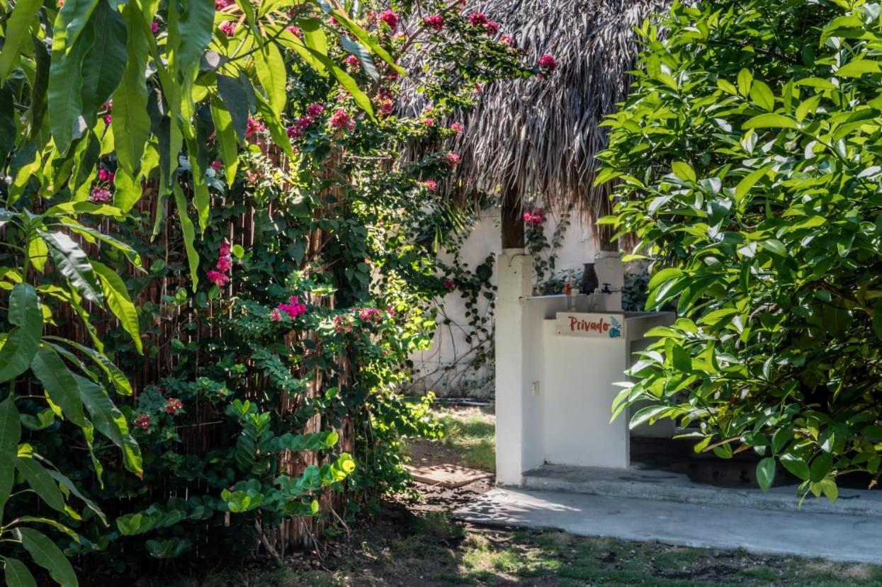 Zoah Surf Boutique Hotel, El Paredon El Paredón Buena Vista Екстериор снимка